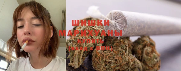 прущий лед Абаза
