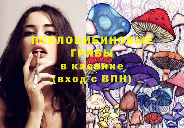 гидропоника Алзамай