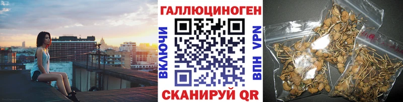 где купить наркоту Гусиноозёрск Псилоцибиновые грибы прущие грибы